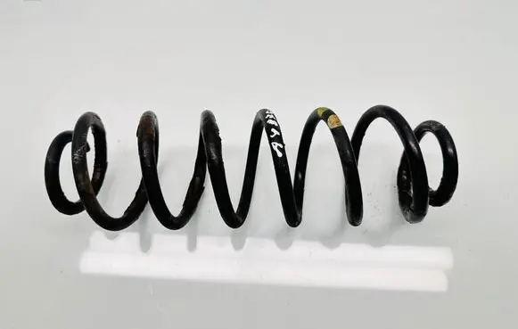 Rear coil spring