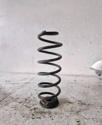 Rear coil spring