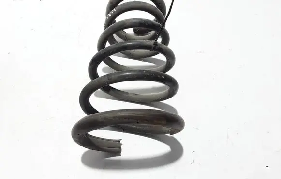 Rear coil spring