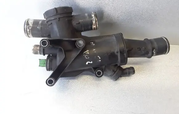 Thermostat/thermostat housing