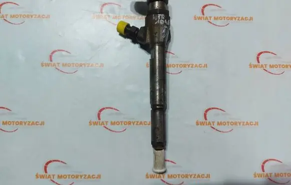 Nissan Qashqai Fuel injector H8200294788