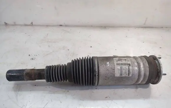 Land Rover Range Rover Sport L494 Air suspension front shock absorber DPLA3C286AF