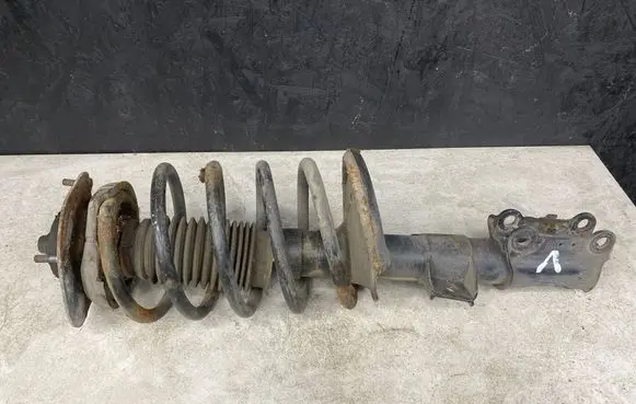 Volvo V70 Front shock absorber with coil spring 554046 824904554046