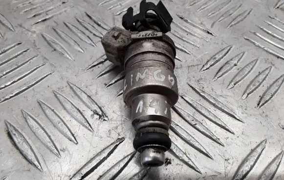 Citroen Berlingo Fuel injector