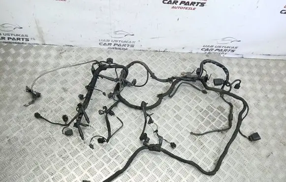 Volkswagen PASSAT B6 Engine installation wiring loom 