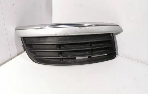 Front bumper lower grill