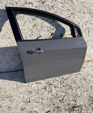 Ford Focus Front door