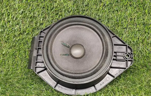Rear door speaker