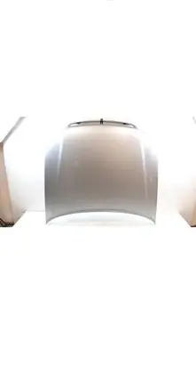 Engine bonnet/hood