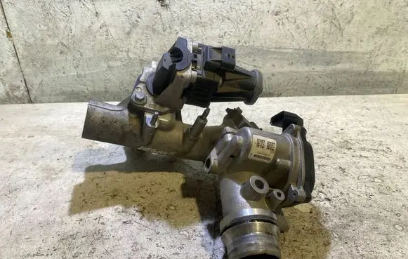Renault Megane III Throttle valve 161A09794R 339402014