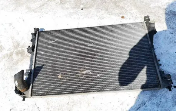 Opel Signum Coolant radiator 24418343