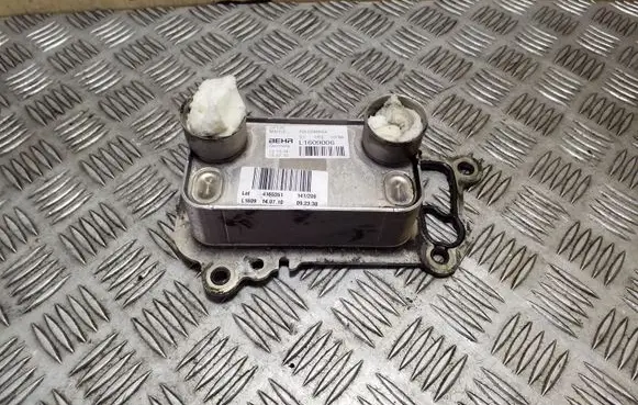 BMW X1 E84 Oil filter mounting bracket L1609006 70310369