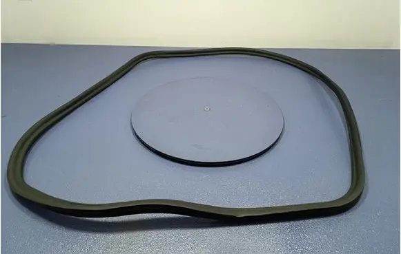 Audi A4 S4 B7 8E 8H Front door rubber seal 7336046