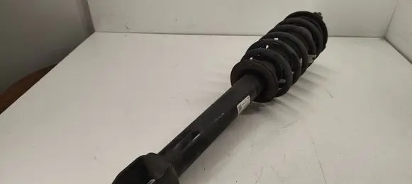 Tesla Model 3 Front shock absorber/damper 104436400E