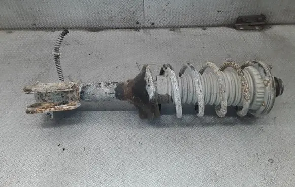 Land Rover Freelander Rear shock absorber with coil spring 