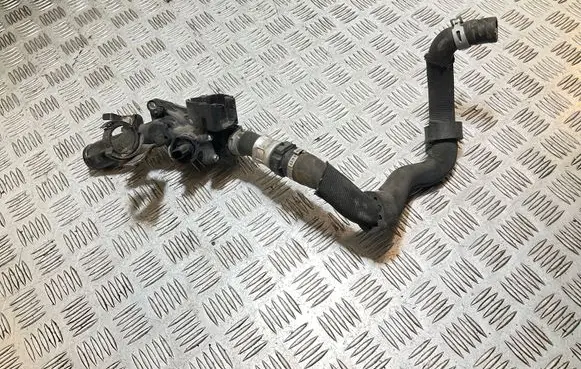 Thermostat/thermostat housing