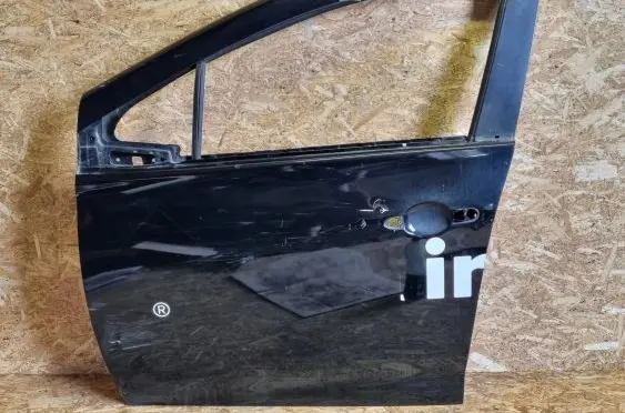 Renault Zoe Front door 80113927R
