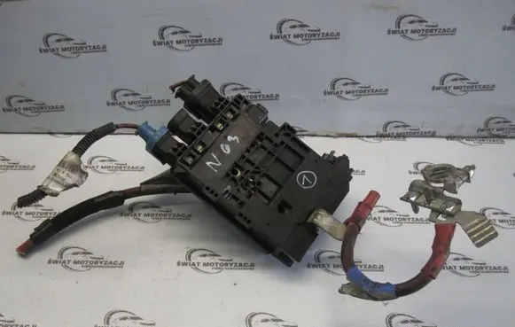 Opel Vivaro Positive wiring loom 243501820R