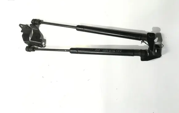 Chevrolet Captiva Rear window strut damper 82553891300