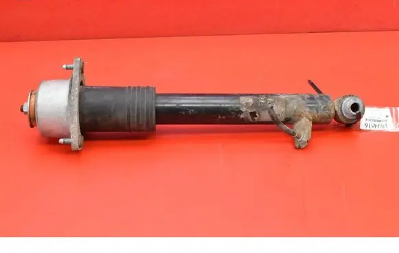 BMW X5 E70 Rear shock absorber/damper 6781921