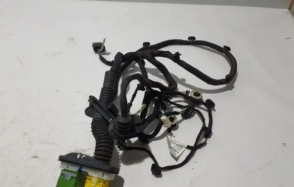 Citroen C4 III e-C4 Other wiring loom 9840884180