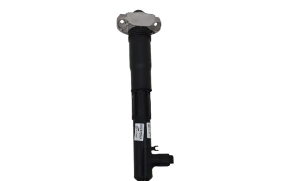 Volkswagen ID.4 Rear shock absorber/damper 1EE512037C AMR022