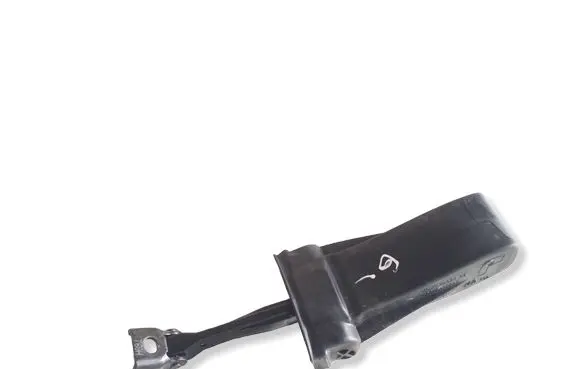 Volkswagen Touareg III Rear door check strap stopper 760839267