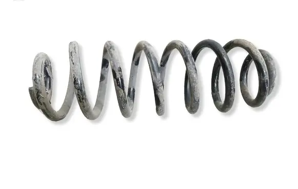 Volkswagen PASSAT B6 Rear coil spring 
