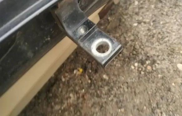 Rear door lower hinge