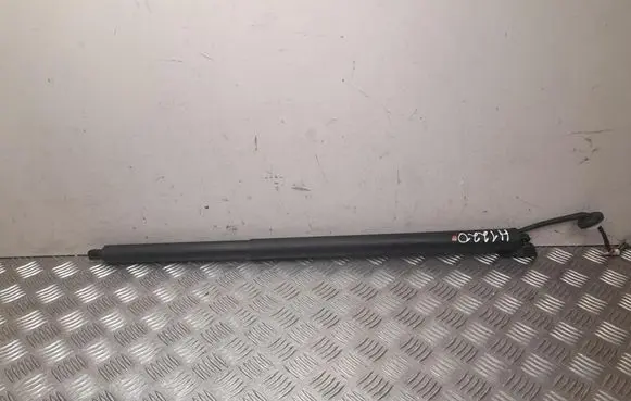 Ford Mustang Mach-E Tailgate/trunk/boot tension spring LJ8BR402A55AD