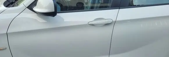 BMW X1 E84 Front door