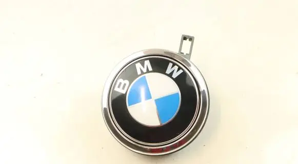 BMW M6 Tailgate exterior lock 7061327 10862510