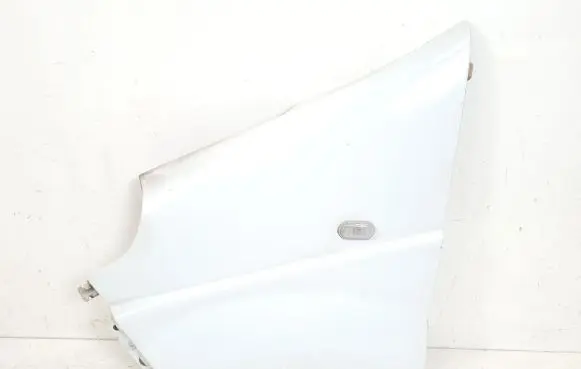 Nissan Primastar Fender