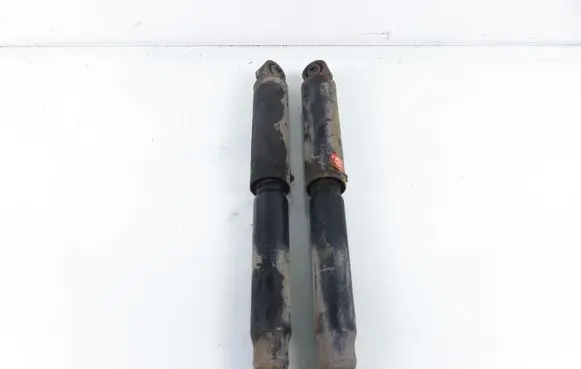 Chevrolet Captiva Rear shock absorber/damper 345084