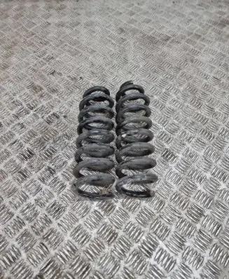Mercedes-Benz C AMG W205 Rear coil spring 