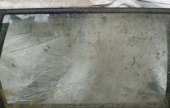 Honda Shuttle Rear door window glass