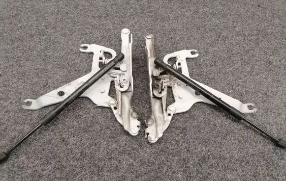 BMW X6 F16 Engine bonnet/hood hinges 7294529 7294530 7308065