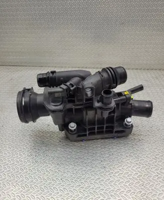 Thermostat/thermostat housing
