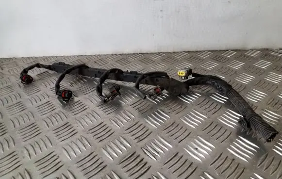 Volkswagen Sharan Fuel injector wires 