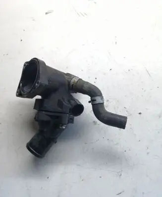 Thermostat/thermostat housing