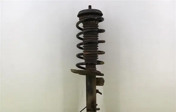 Peugeot 207 Front shock absorber with coil spring