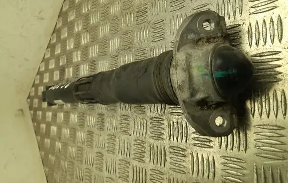 Volkswagen ID.4 Rear shock absorber/damper 1EA512013AL