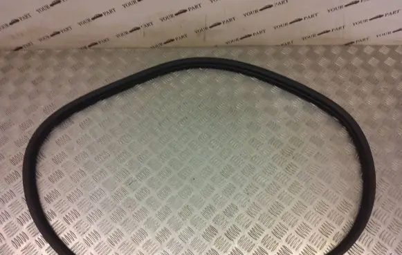 Tesla Model 3 Rubber seal rear door 