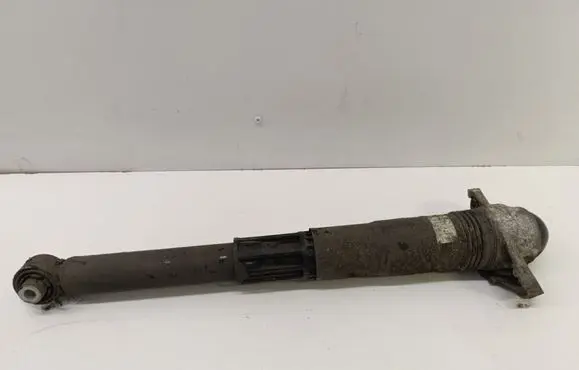 Volkswagen ID.3 Rear shock absorber/damper 1EA513423F 1EA512011AD