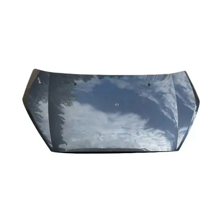 Ford S-MAX Engine bonnet/hood