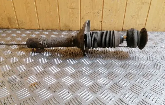 Volkswagen New Beetle Front shock absorber/damper