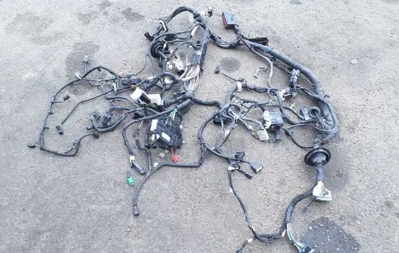 Other wiring loom