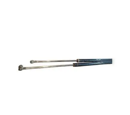Tailgate/trunk strut/damper