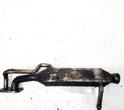 Chrysler 300 - 300C EGR valve cooler