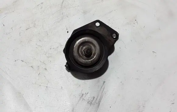Nissan Pathfinder R51 Timing belt/chain tensioner 0Z22